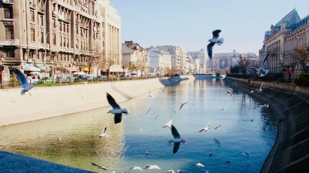 Eric Apartment 100 Бухарест Экстерьер фото